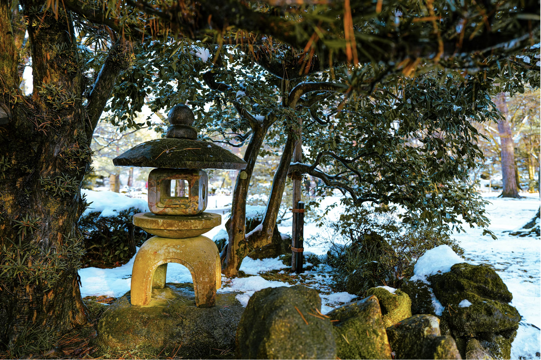 Jardin préparé pour l'hiver en Alsace