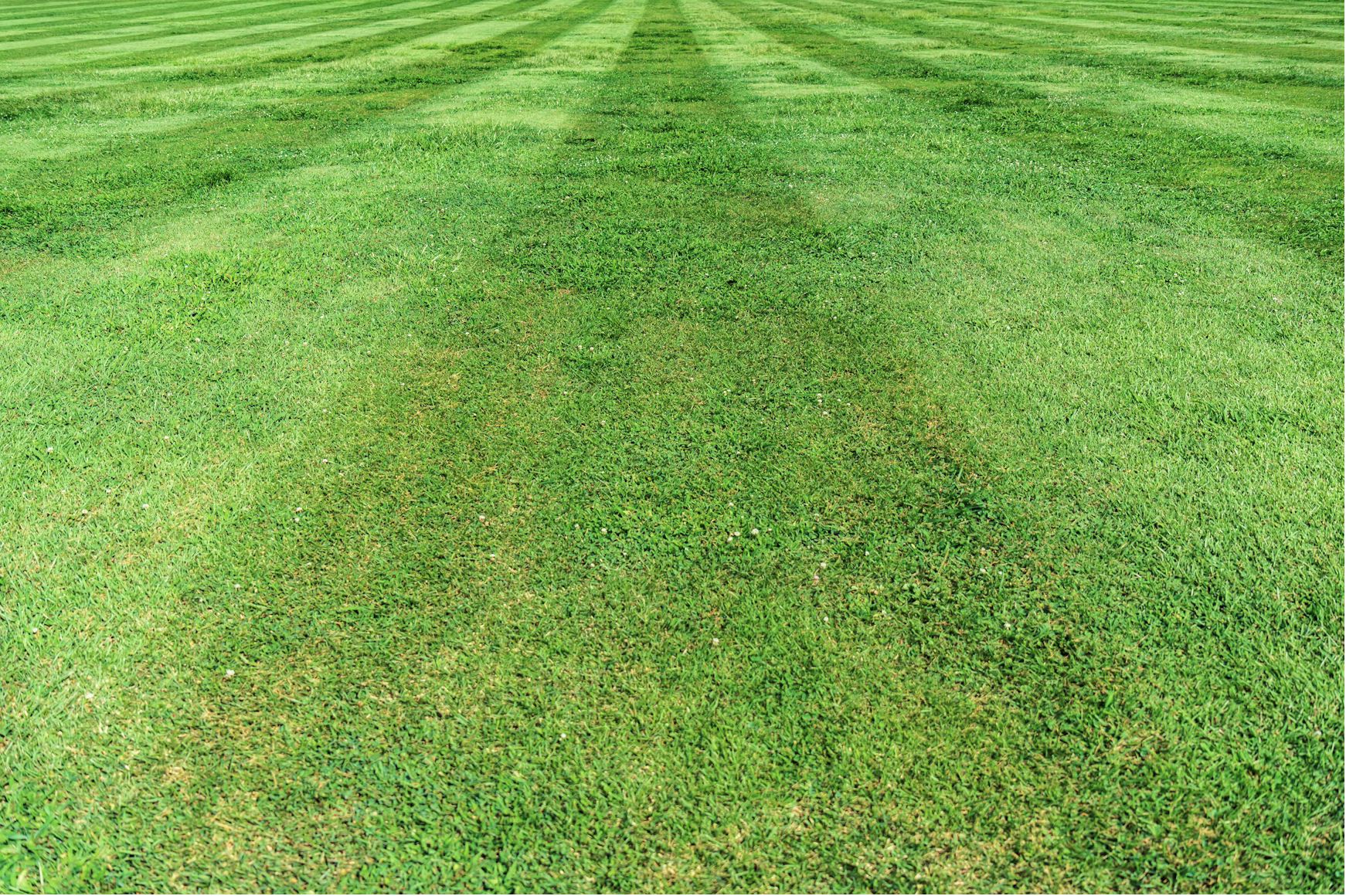 Entretien de pelouse en Alsace